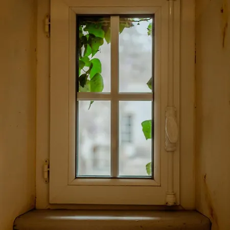 Chez Dominique 450 M2 Manoir Piscine Billard Vakantiehuis Saint-Martin (Lot-et-Garonne)