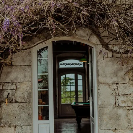 Chez Dominique 450 M2 Manoir Piscine Billard Vakantiehuis