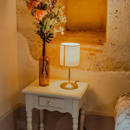 Chez Dominique 450 M2 Manoir Piscine Billard Vakantiehuis *