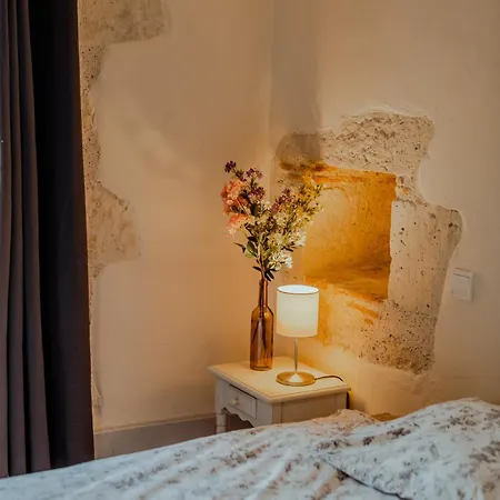 Vakantiehuis Chez Dominique 450 M2 Manoir Piscine Billard