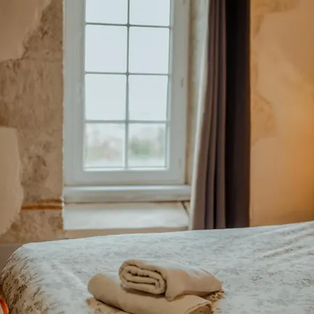 Chez Dominique 450 M2 Manoir Piscine Billard Vakantiehuis *