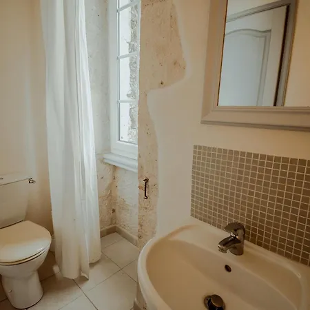 Prázdninový dům Chez Dominique 450 M2 Manoir Piscine Billard