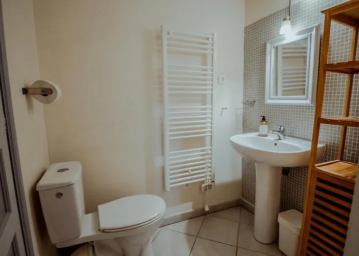 Chez Dominique 450 M2 Manoir Piscine Billard Hébergement de vacances *