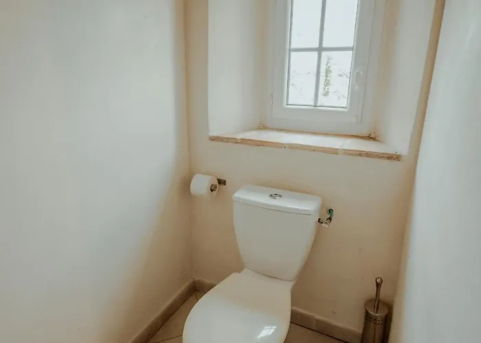 Chez Dominique 450 M2 Manoir Piscine Billard Hébergement de vacances